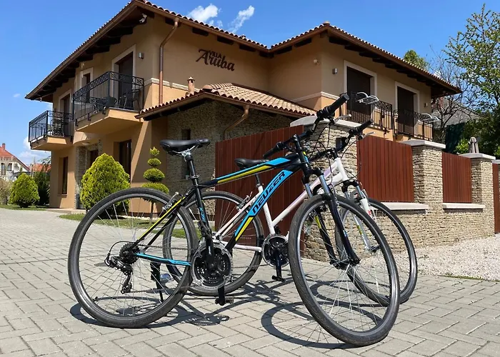 Aruba & Private 케츨리